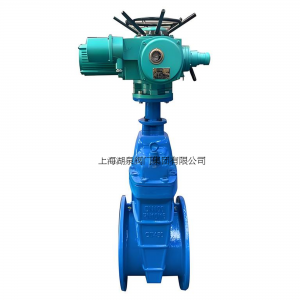 上海湖泉Z945X-10/16Q  DN700電動(dòng)彈性座封閘閥